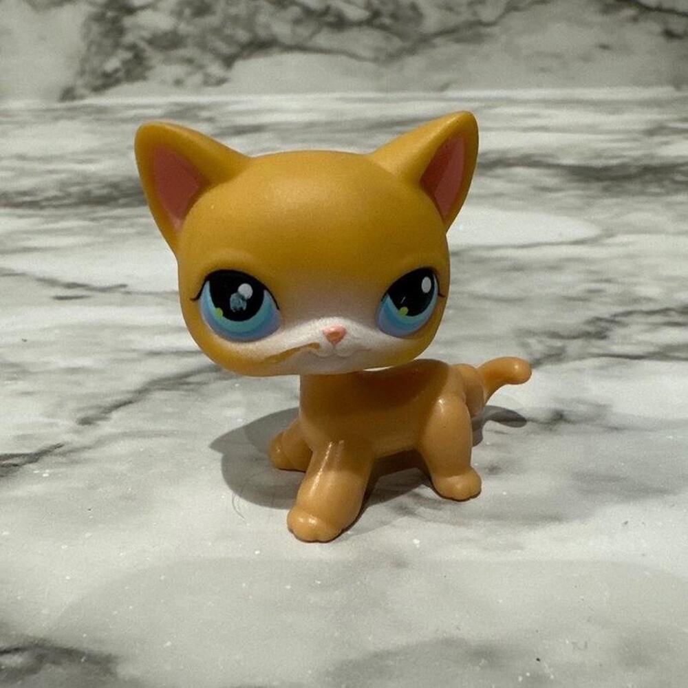 Littlest pet shop rare shorthair